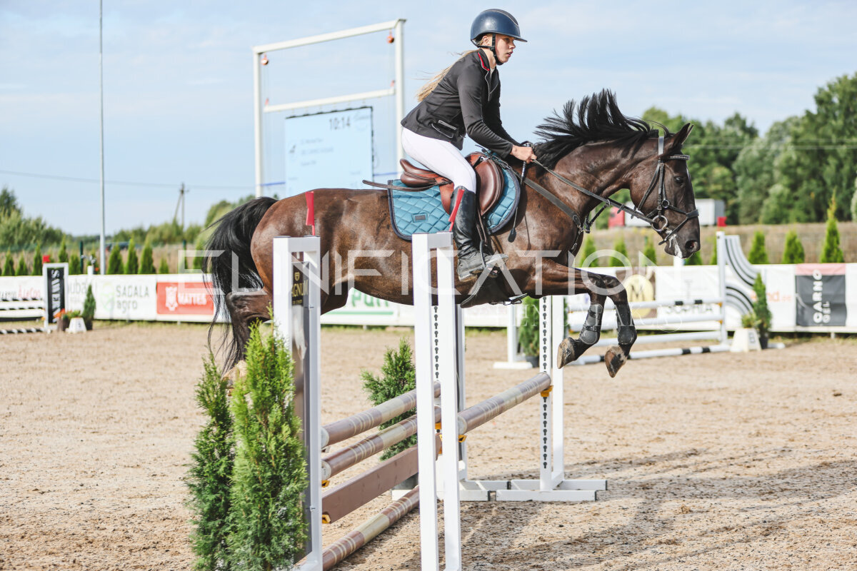 NHTS_2026_2_hc75-85cm_45