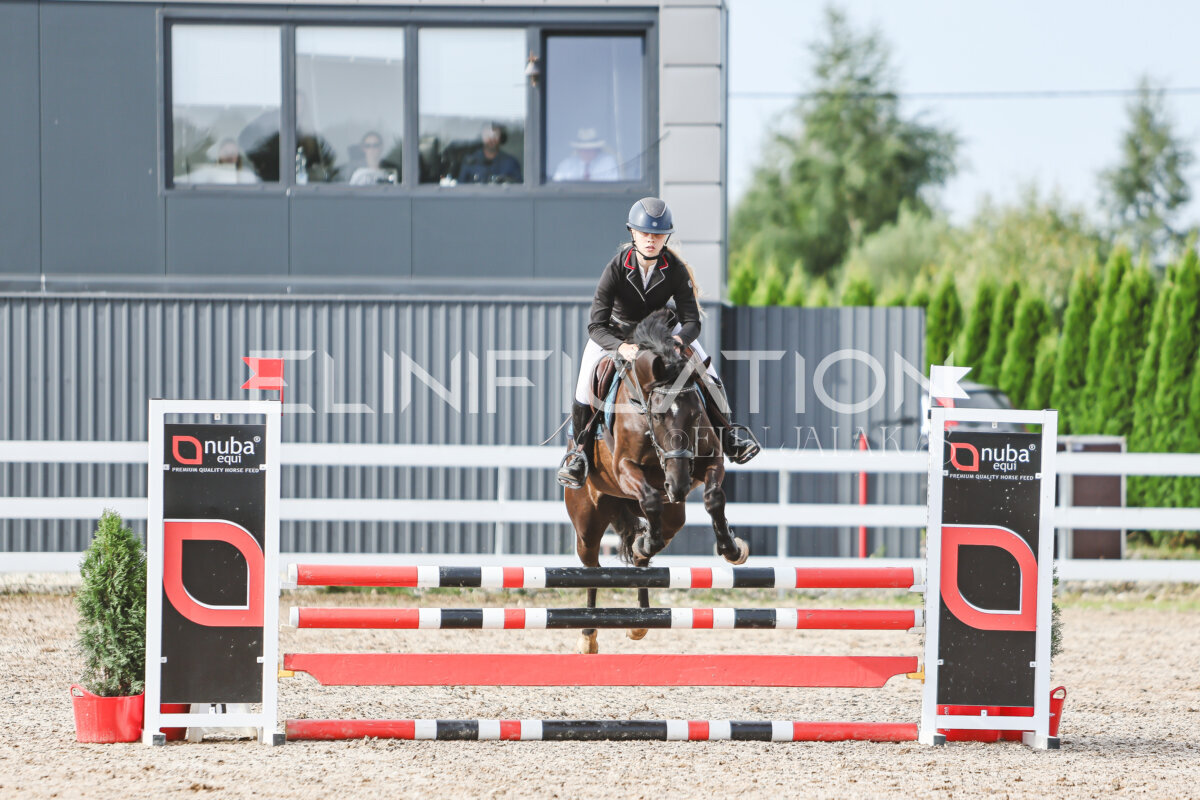 NHTS_2026_2_hc75-85cm_46