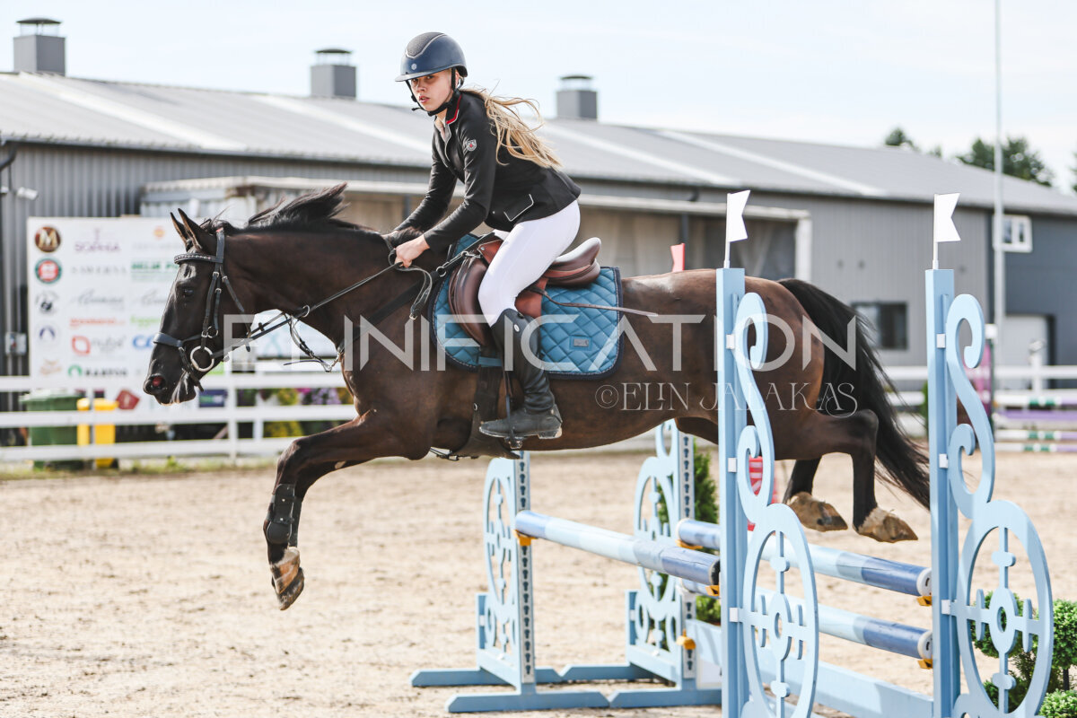 NHTS_2026_2_hc75-85cm_50