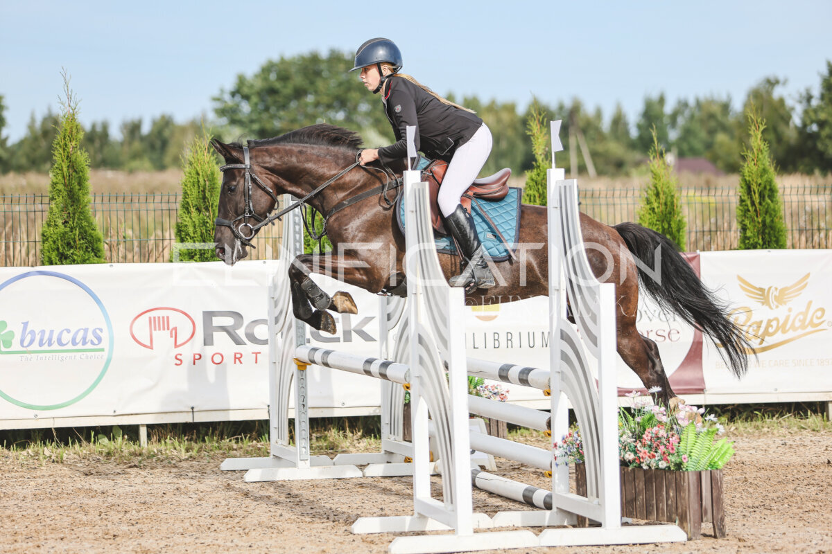 NHTS_2026_2_hc75-85cm_51