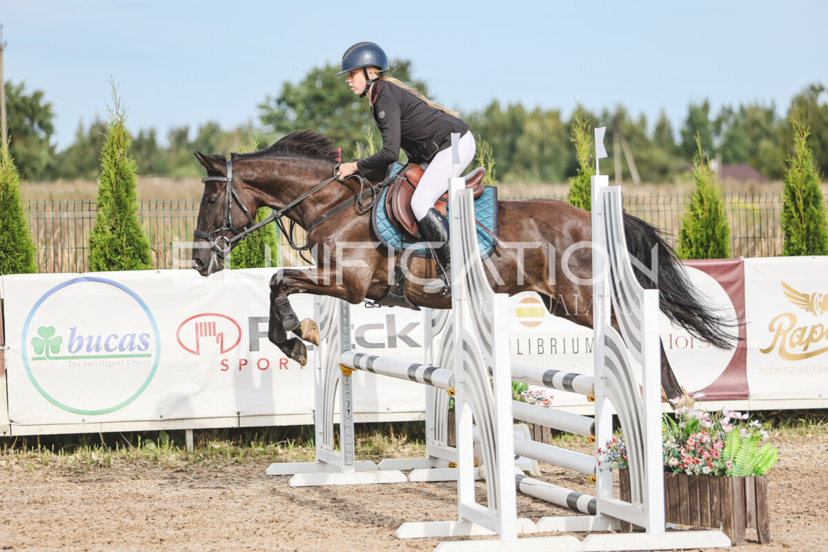 NHTS_2026_2_hc75-85cm_52