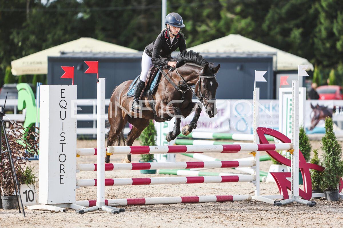 NHTS_2026_2_hc75-85cm_54
