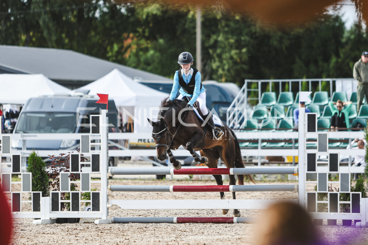 NHTS_2026_2_hc75-85cm_55