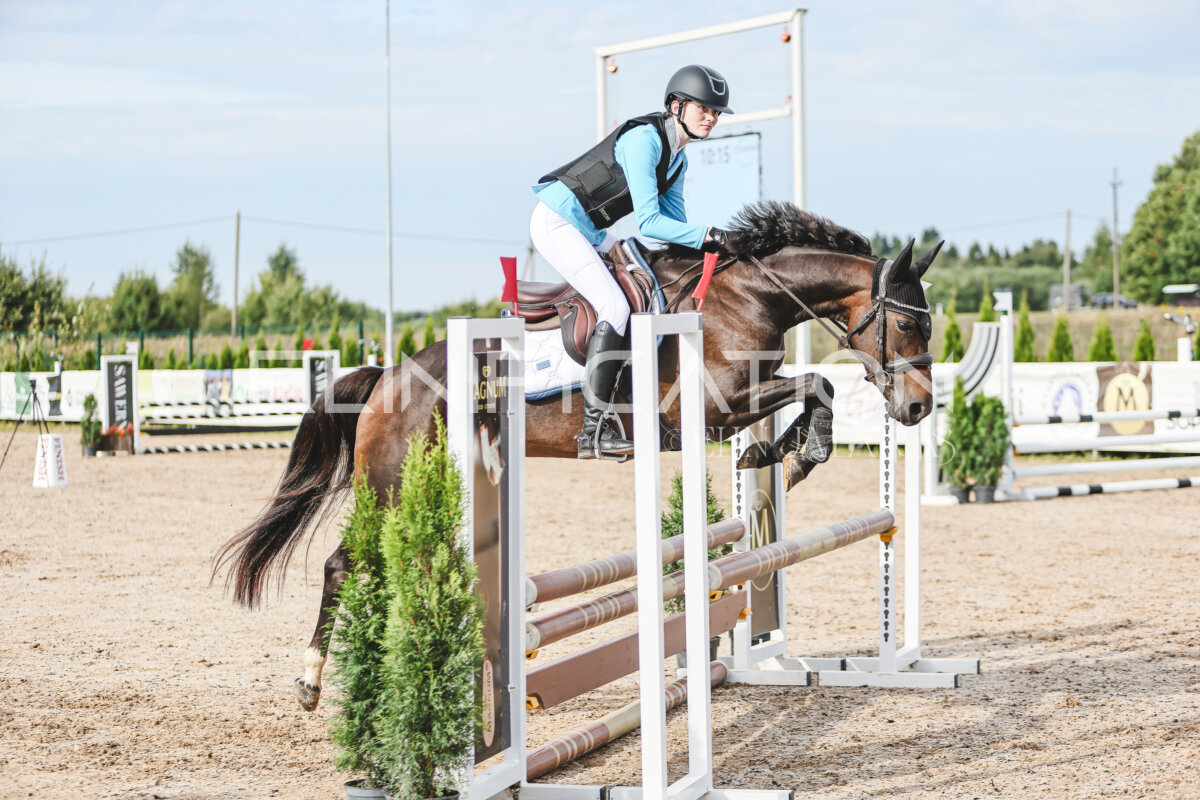 NHTS_2026_2_hc75-85cm_56