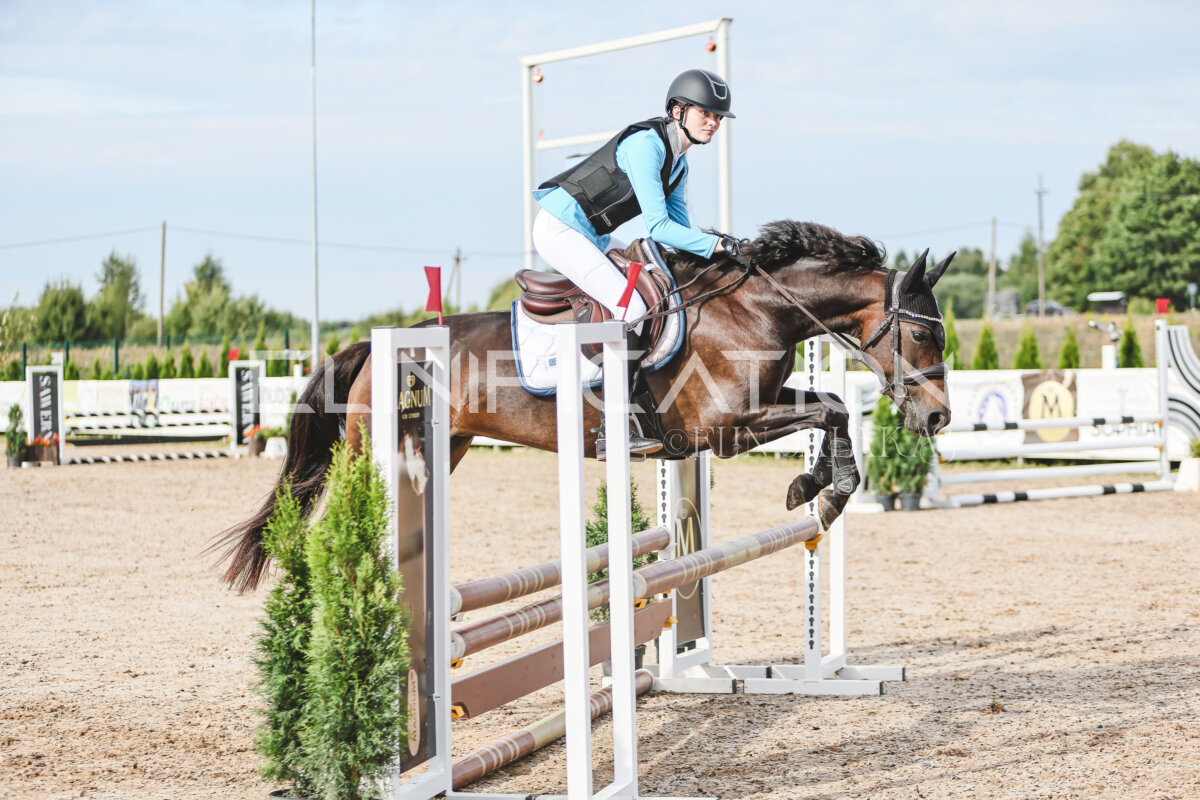 NHTS_2026_2_hc75-85cm_57