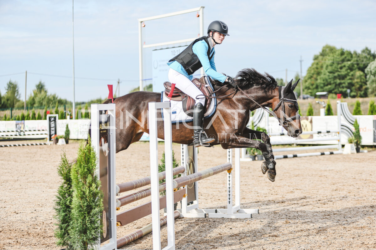 NHTS_2026_2_hc75-85cm_58