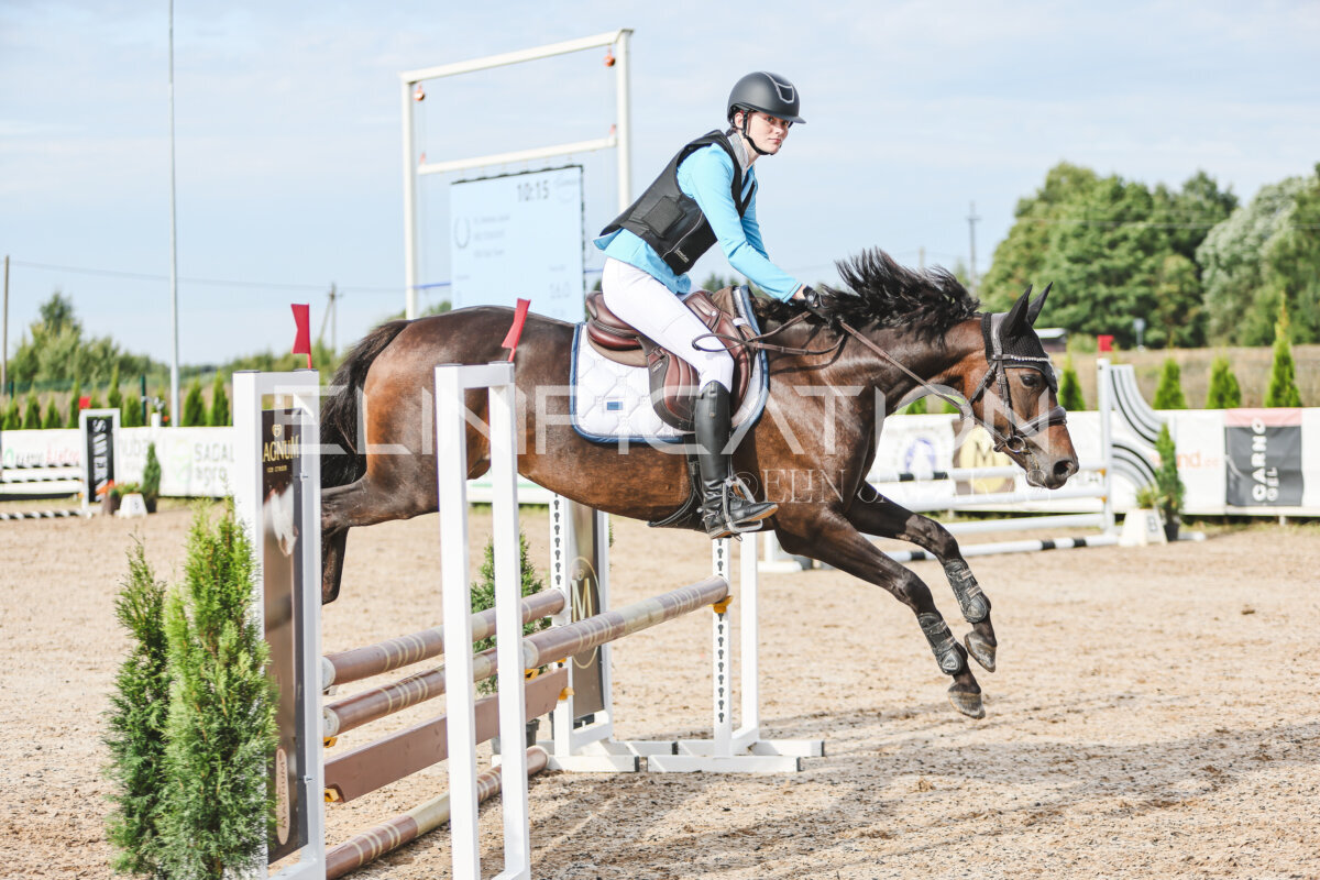 NHTS_2026_2_hc75-85cm_59