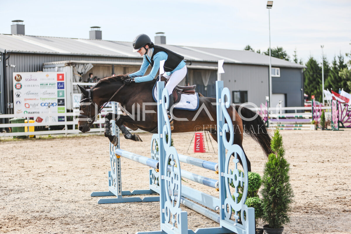NHTS_2026_2_hc75-85cm_63
