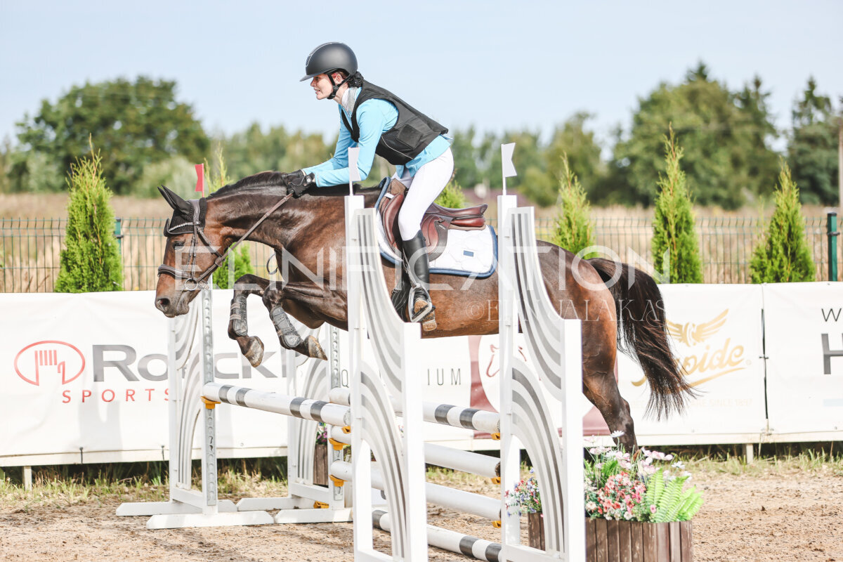 NHTS_2026_2_hc75-85cm_65