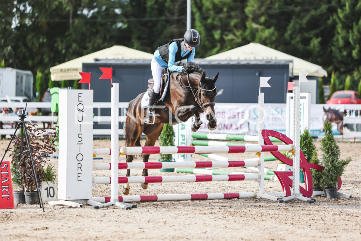 NHTS_2026_2_hc75-85cm_68