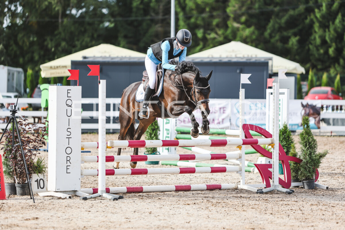 NHTS_2026_2_hc75-85cm_69