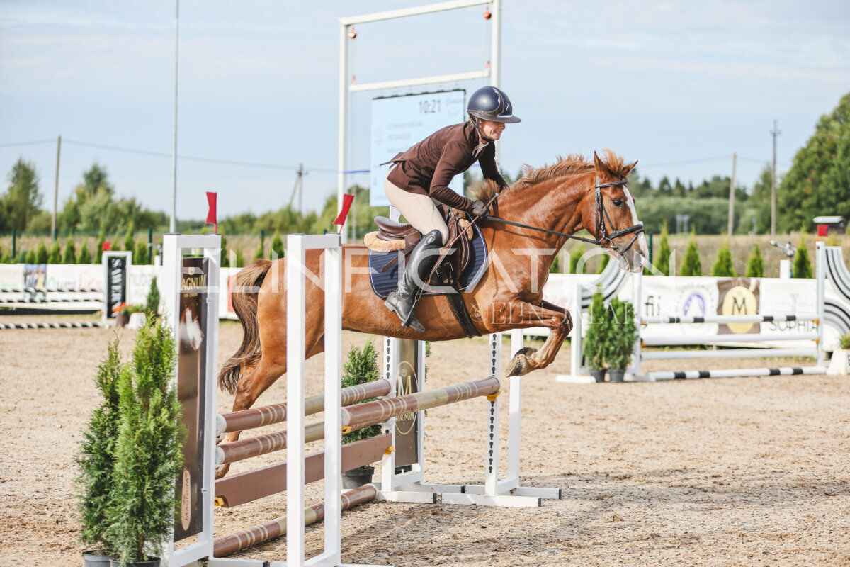 NHTS_2026_2_hc75-85cm_70