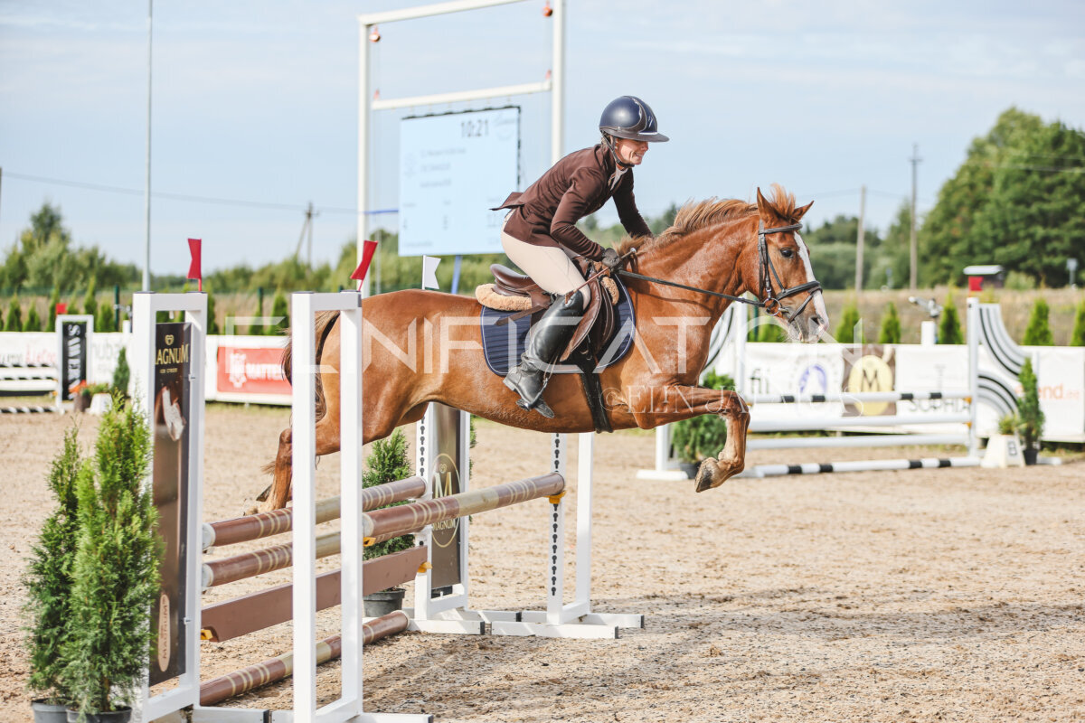NHTS_2026_2_hc75-85cm_71