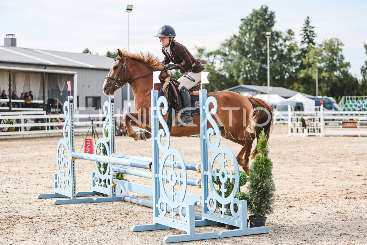 NHTS_2026_2_hc75-85cm_72