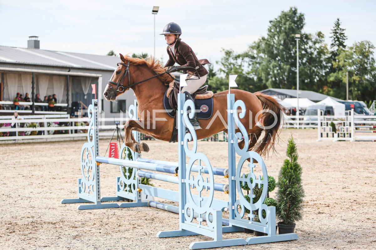 NHTS_2026_2_hc75-85cm_73
