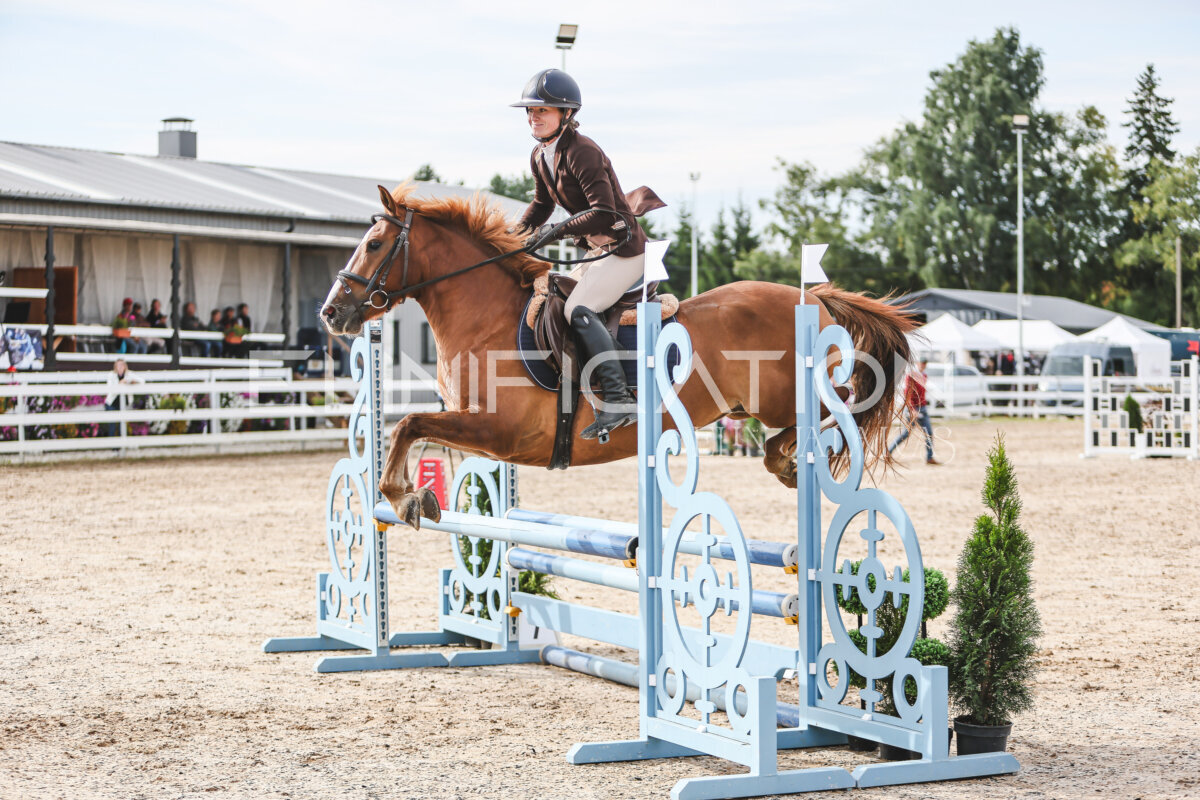 NHTS_2026_2_hc75-85cm_74