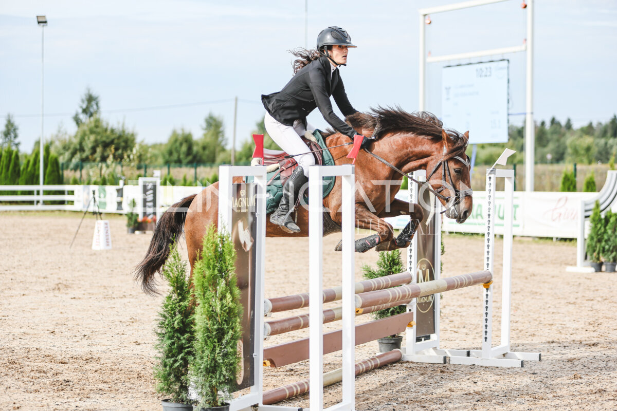NHTS_2026_2_hc75-85cm_75