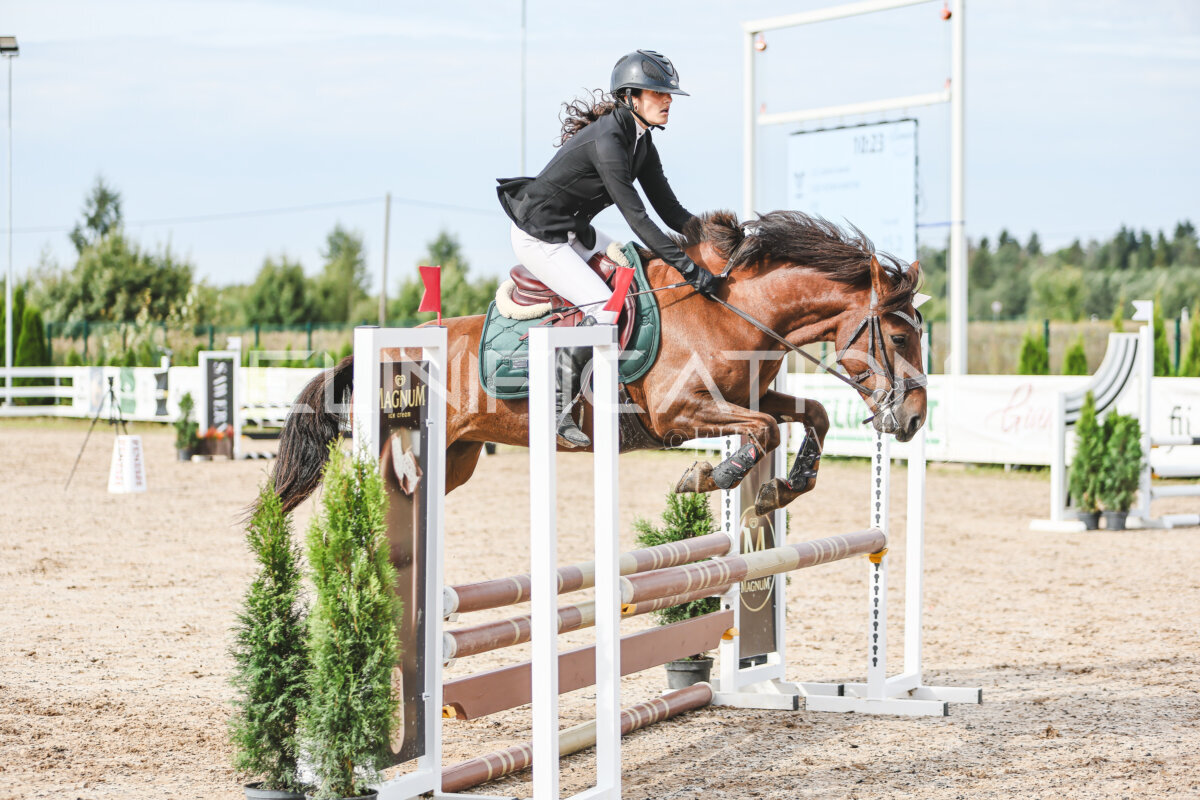 NHTS_2026_2_hc75-85cm_76
