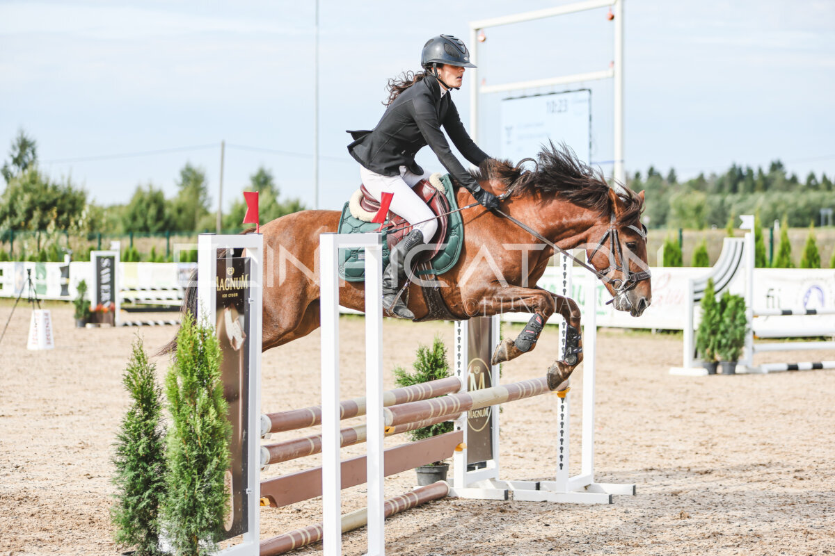 NHTS_2026_2_hc75-85cm_77