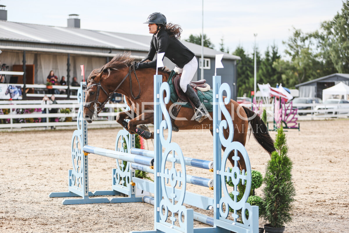NHTS_2026_2_hc75-85cm_78