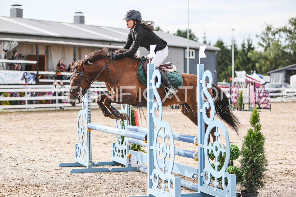 NHTS_2026_2_hc75-85cm_79