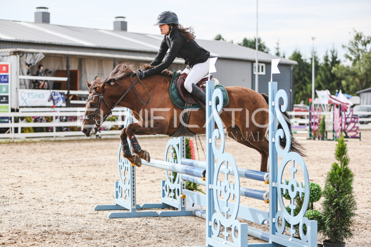 NHTS_2026_2_hc75-85cm_80