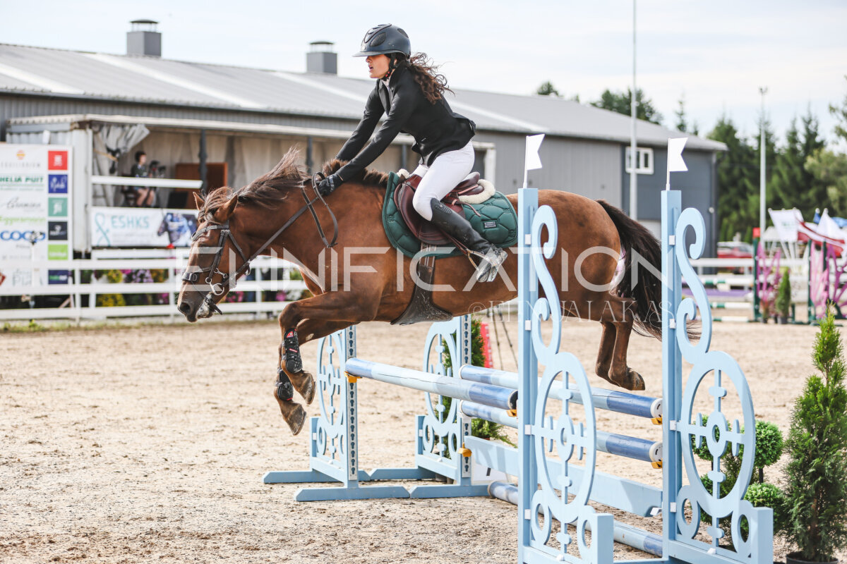 NHTS_2026_2_hc75-85cm_81