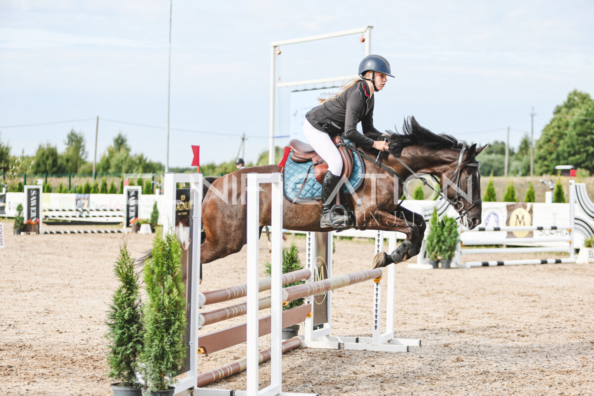NHTS_2026_2_hc75-85cm_82