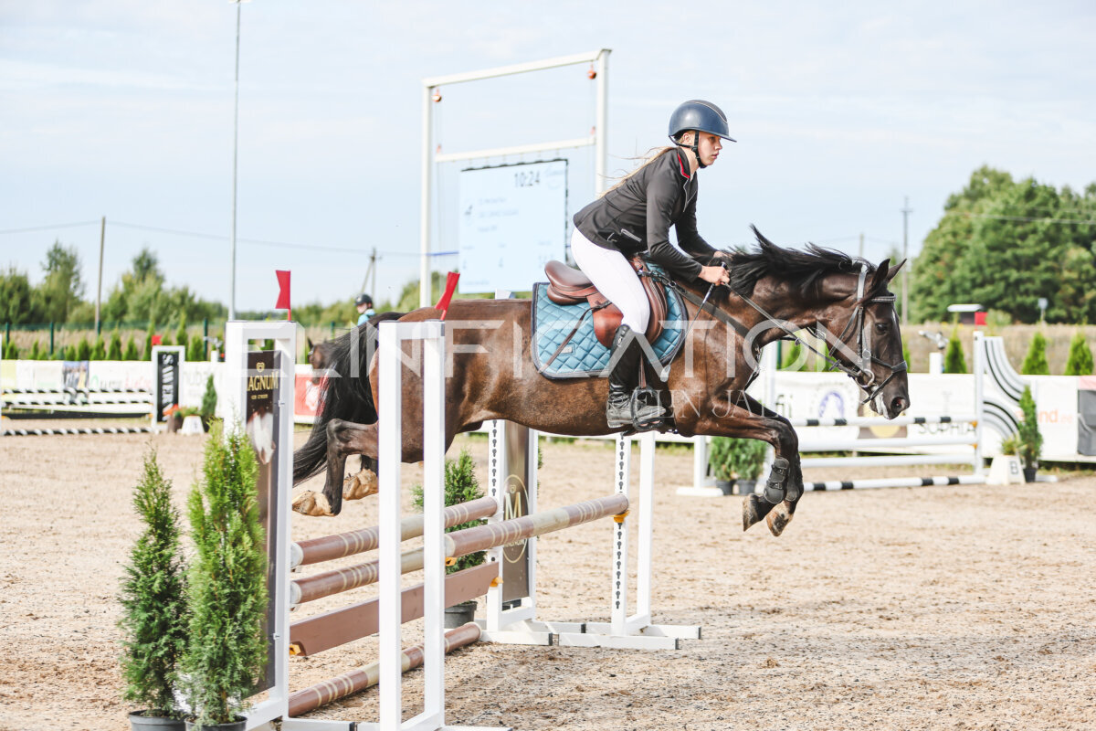 NHTS_2026_2_hc75-85cm_83