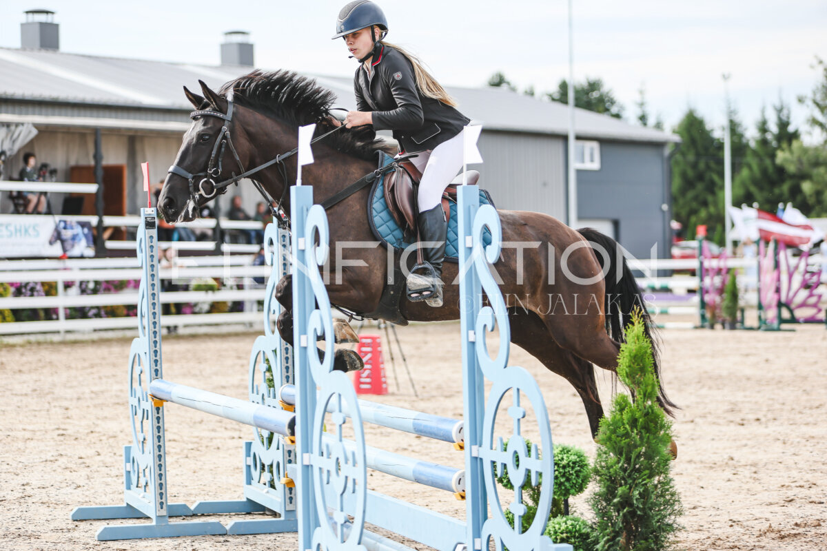 NHTS_2026_2_hc75-85cm_84