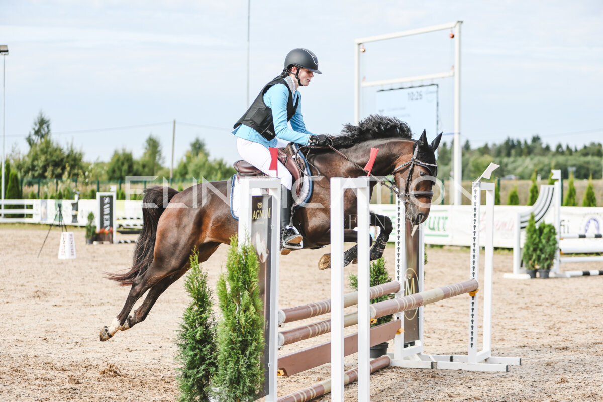 NHTS_2026_2_hc75-85cm_85
