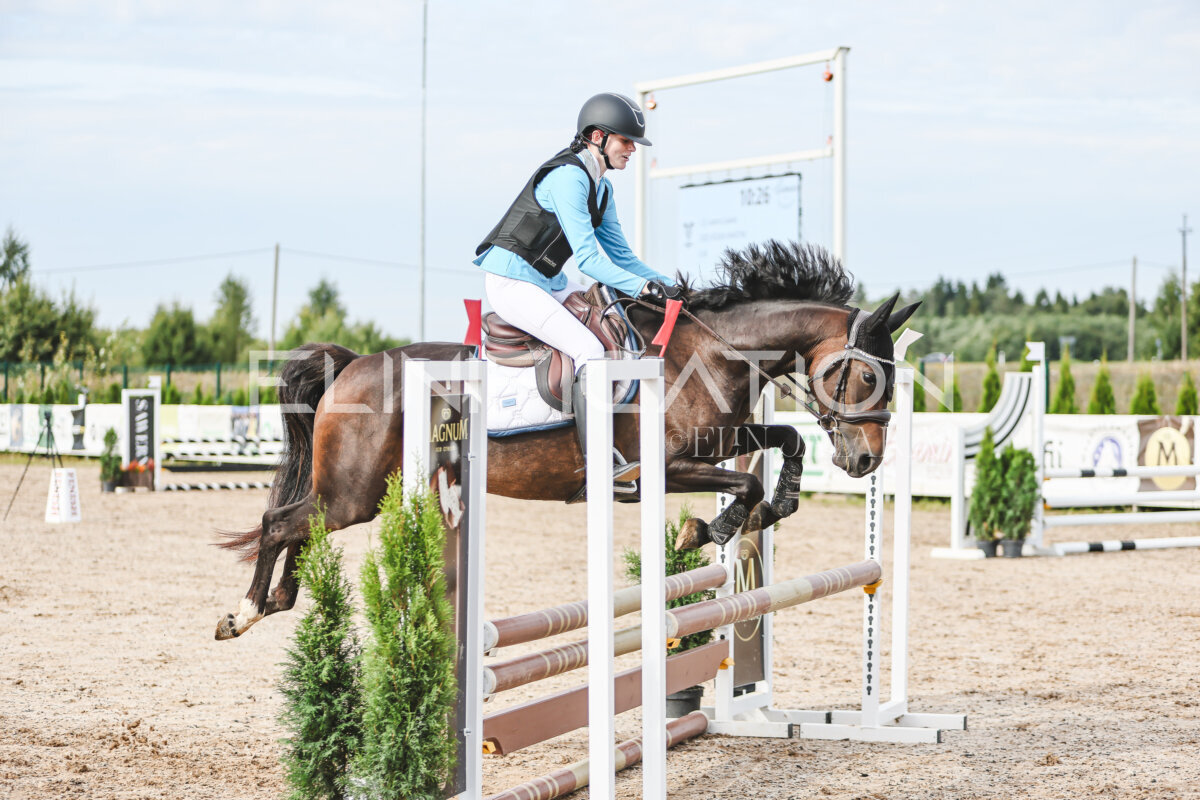 NHTS_2026_2_hc75-85cm_86