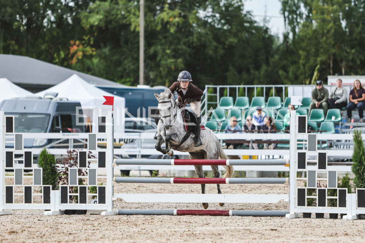 NHTS_2026_2_hc75-85cm_90