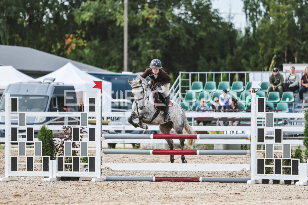 NHTS_2026_3_hc85-95cm_01