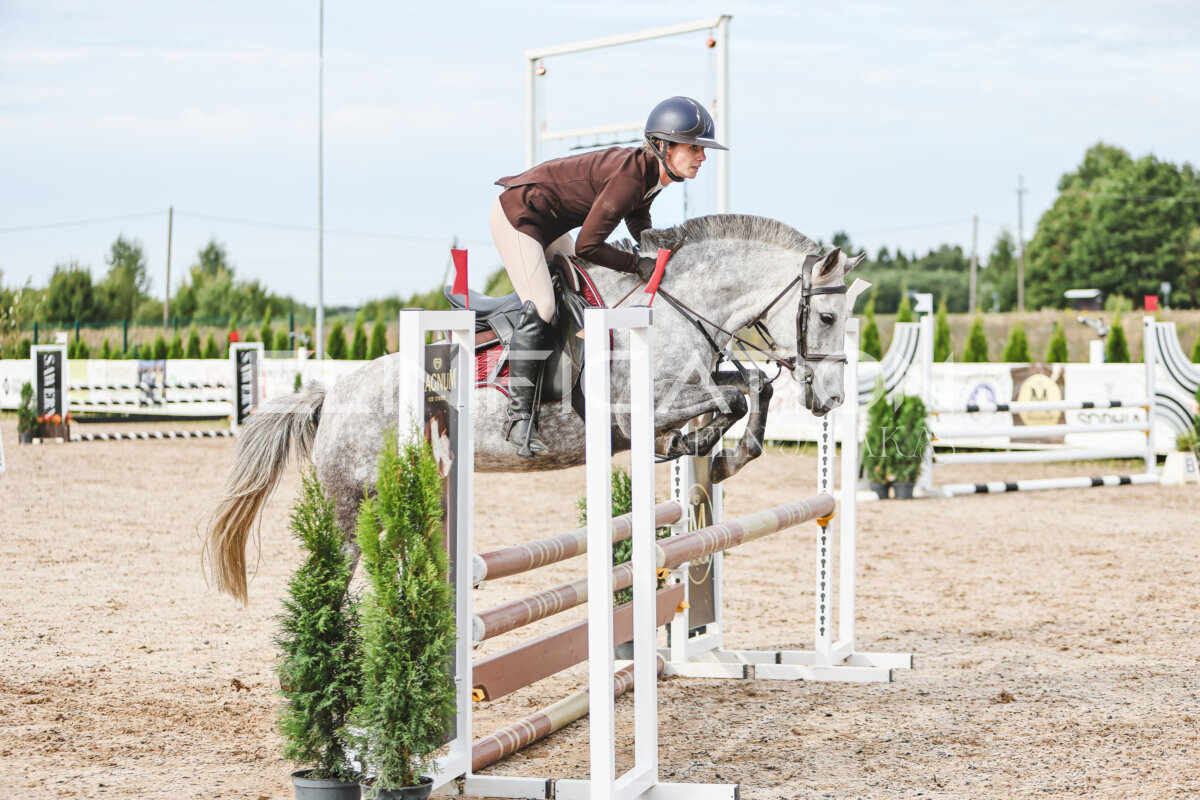 NHTS_2026_3_hc85-95cm_03