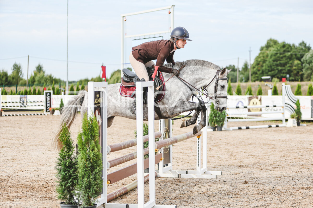 NHTS_2026_3_hc85-95cm_04