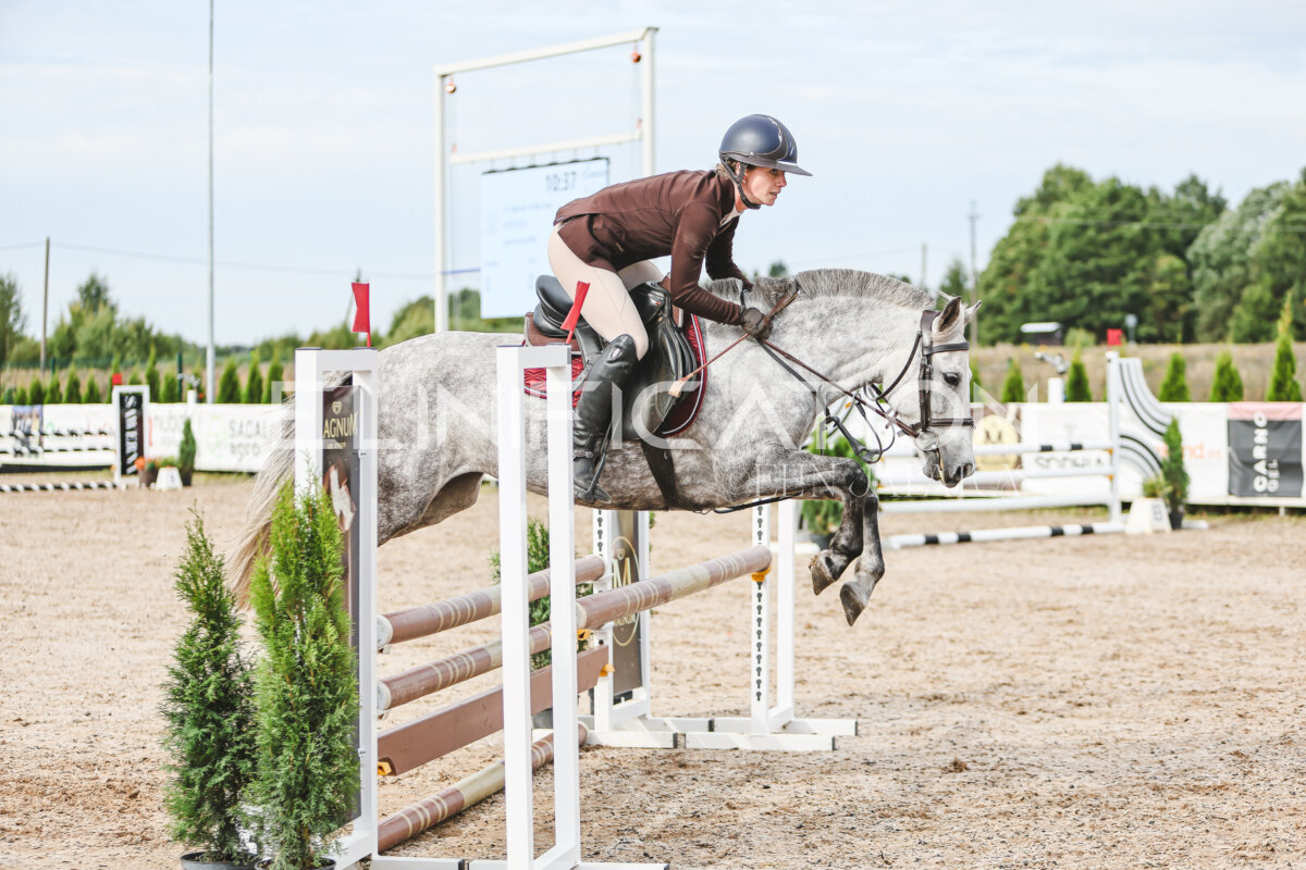 NHTS_2026_3_hc85-95cm_05