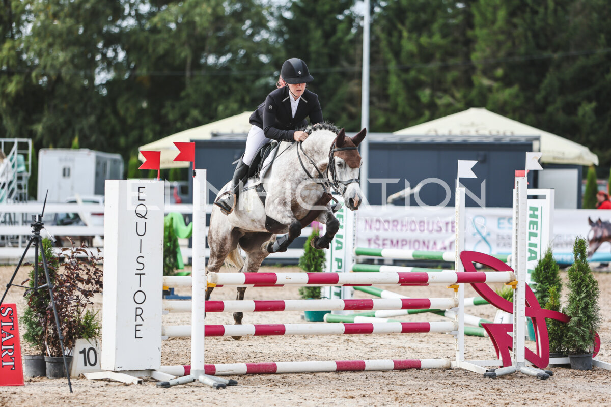 NHTS_2026_3_hc85-95cm_12