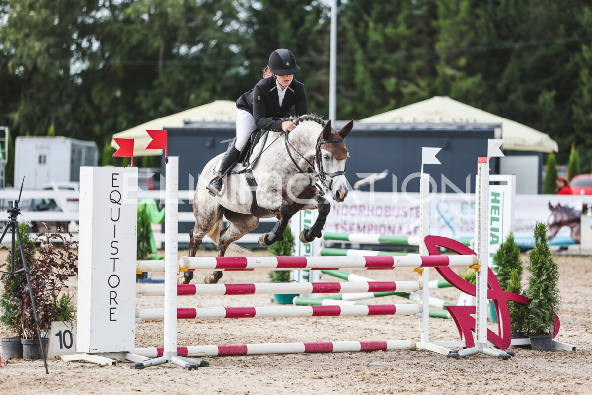 NHTS_2026_3_hc85-95cm_13