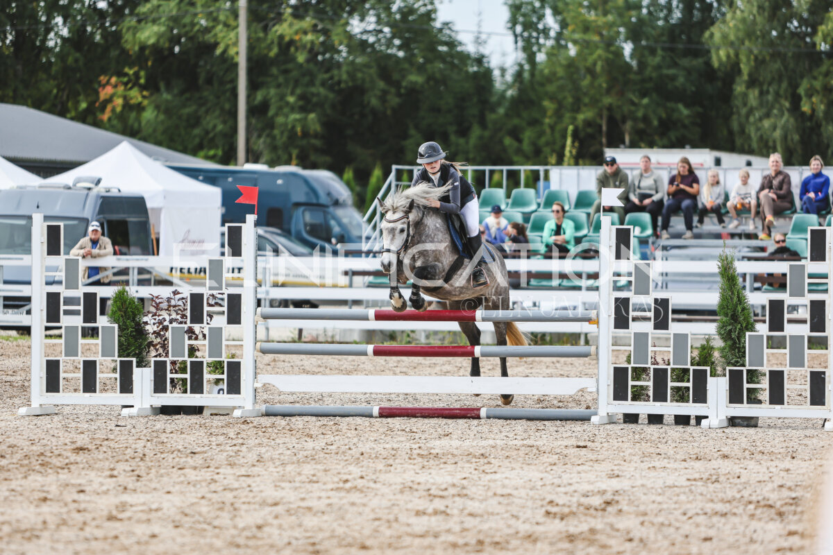 NHTS_2026_3_hc85-95cm_15