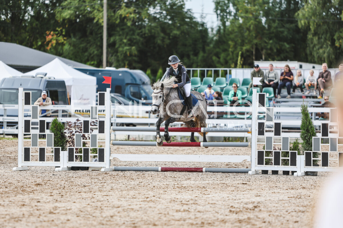 NHTS_2026_3_hc85-95cm_17