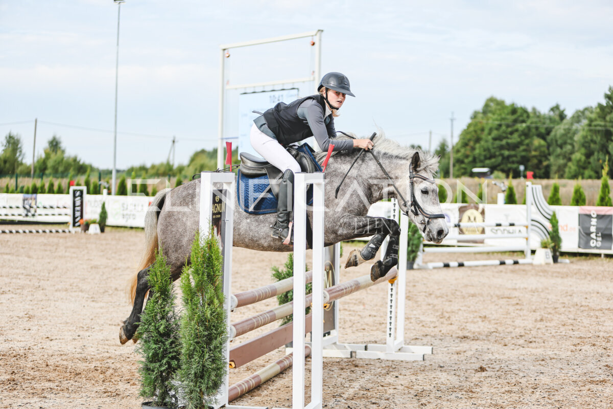 NHTS_2026_3_hc85-95cm_18