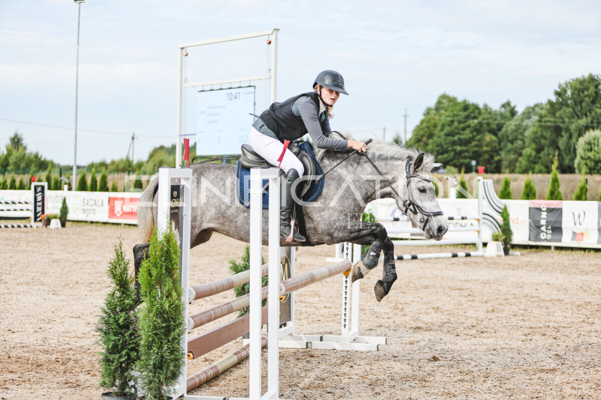 NHTS_2026_3_hc85-95cm_19