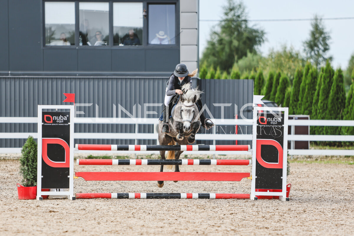 NHTS_2026_3_hc85-95cm_20
