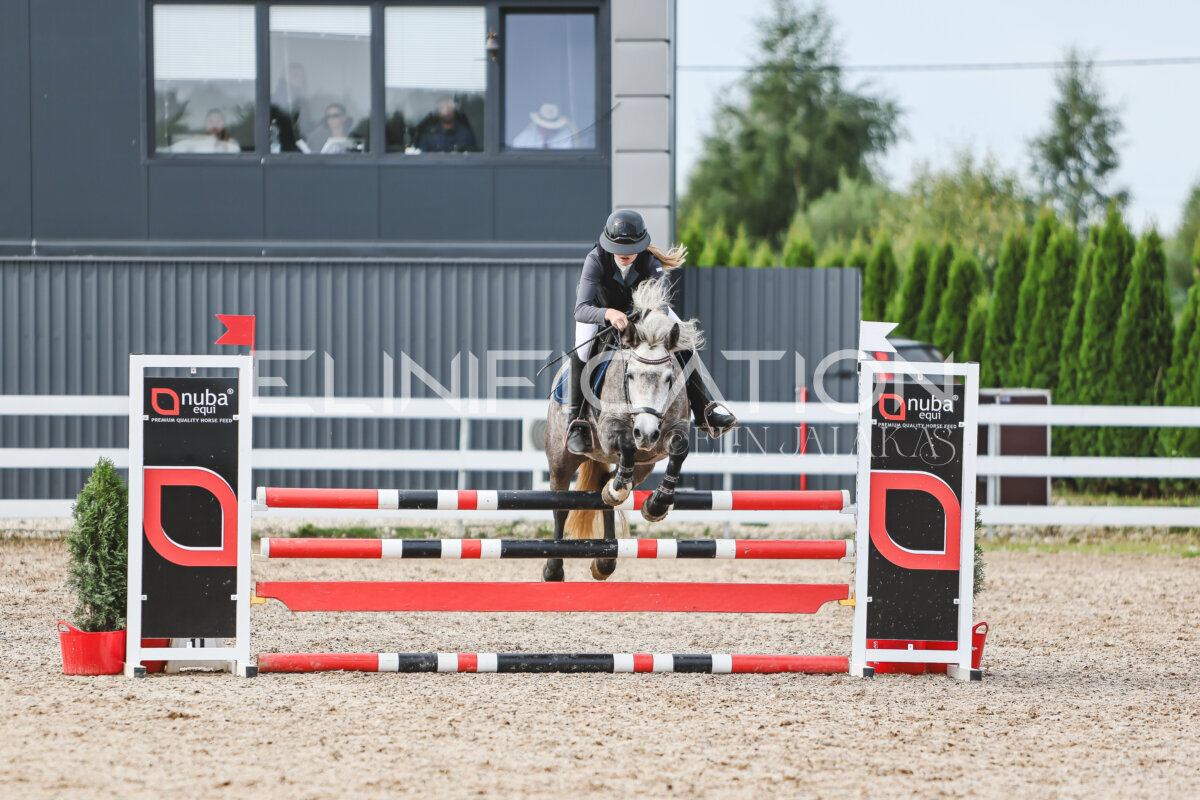 NHTS_2026_3_hc85-95cm_21
