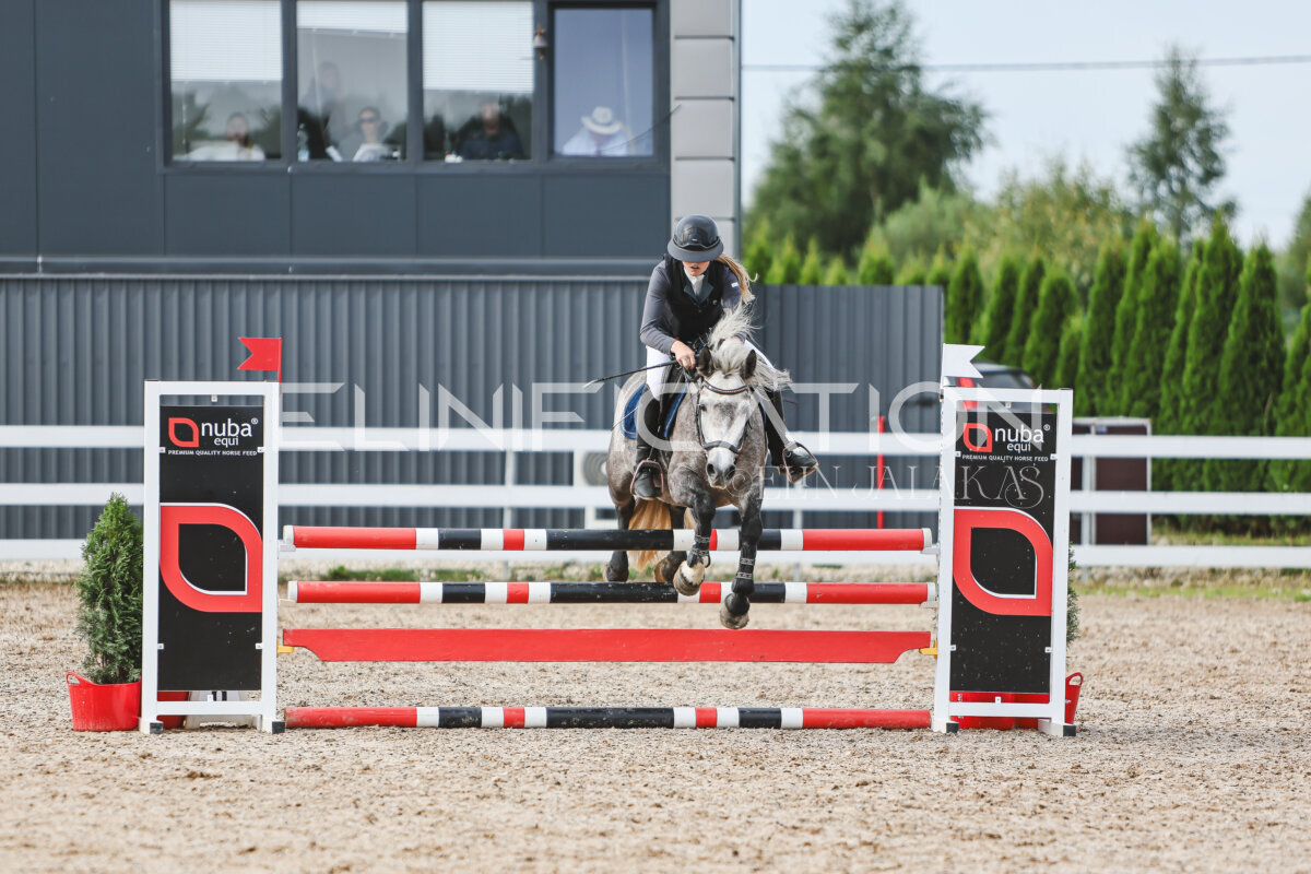 NHTS_2026_3_hc85-95cm_22