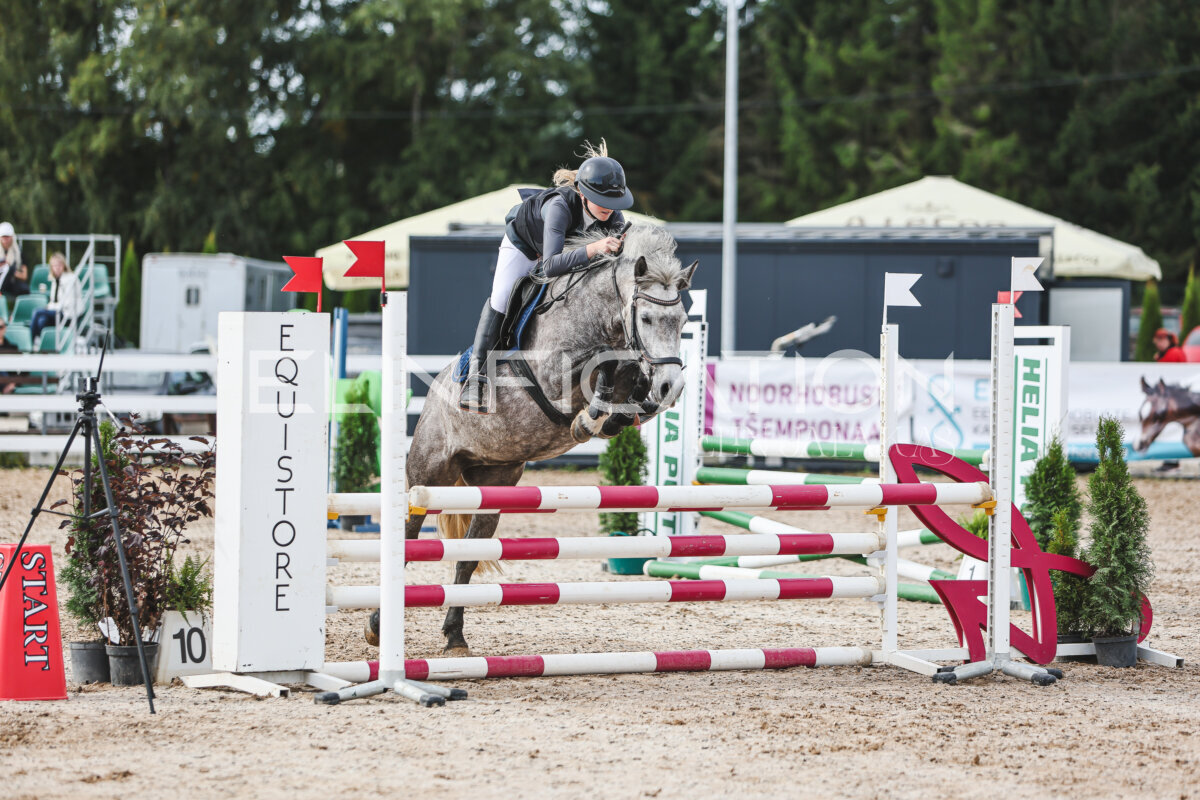 NHTS_2026_3_hc85-95cm_30
