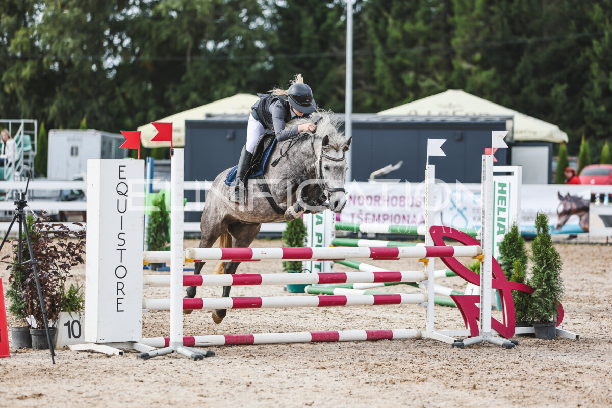NHTS_2026_3_hc85-95cm_31