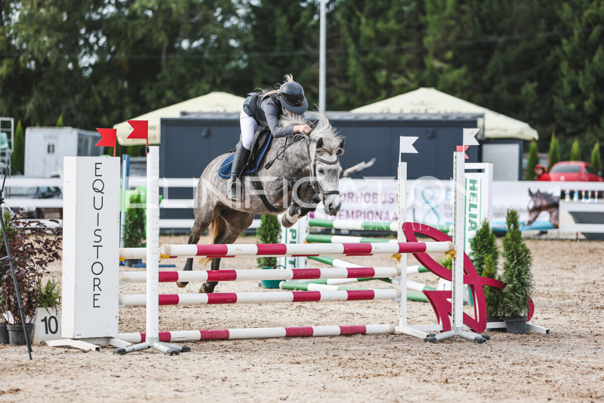 NHTS_2026_3_hc85-95cm_32