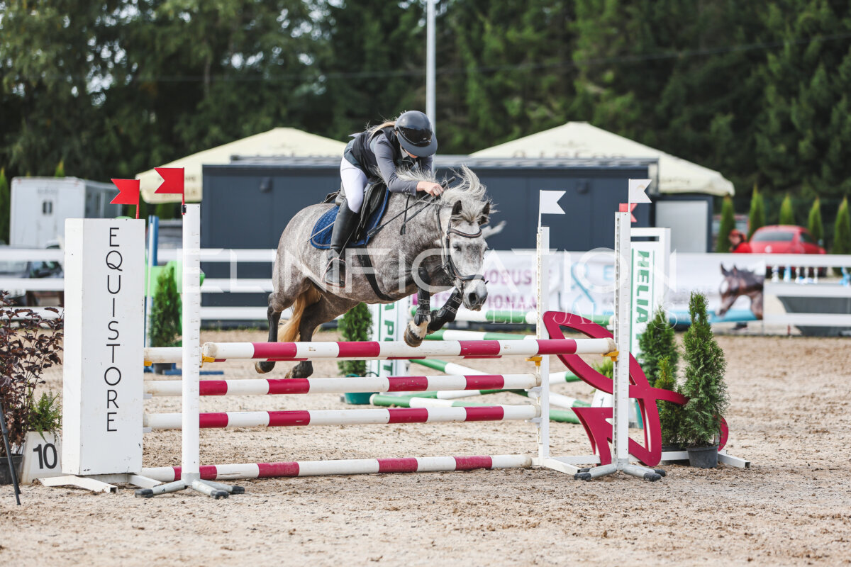 NHTS_2026_3_hc85-95cm_33